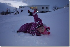 Snjómyndir 11.01 (48)