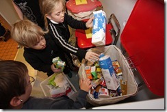 Umhverfismál_flokkun_2010 (8)